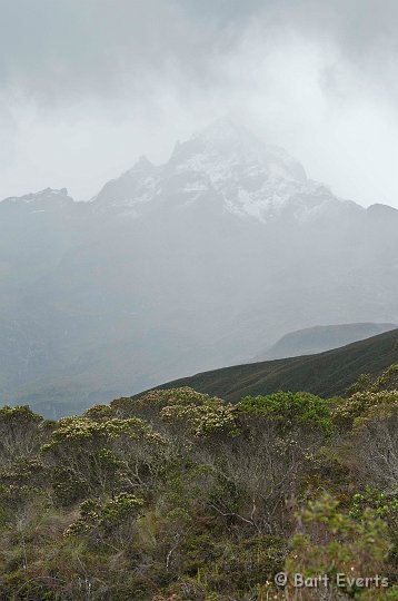 eDSC_0385.JPG - View on cotacachi mountain (4700m)